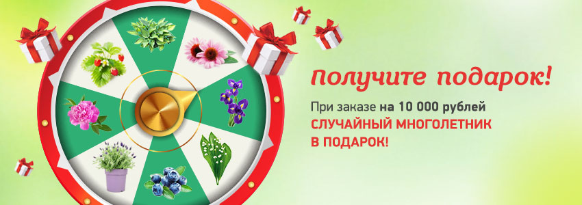 Подарок к каждому заказу от 10000